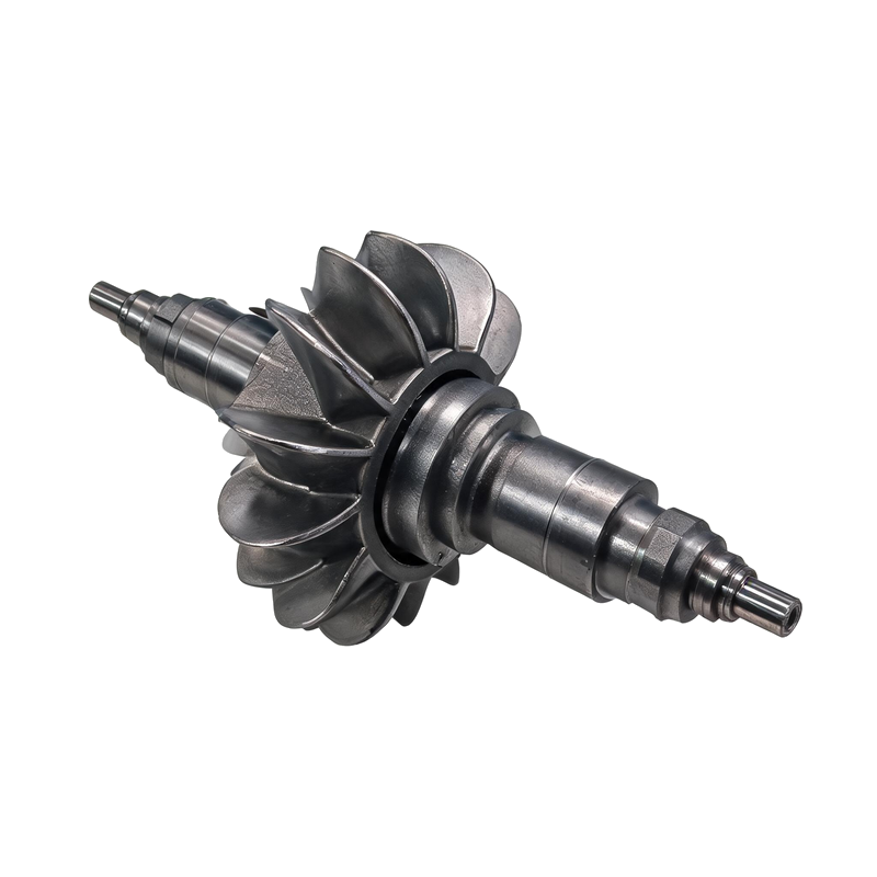Pumpenrotor